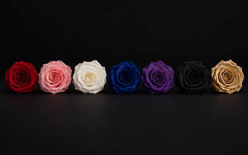 Evighetsrosor i rött, rosa, vitt, blått, lila, svart och guld på rad.